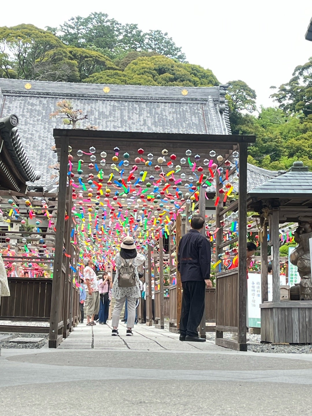 可睡斎に並ぶ色とりどりの風鈴