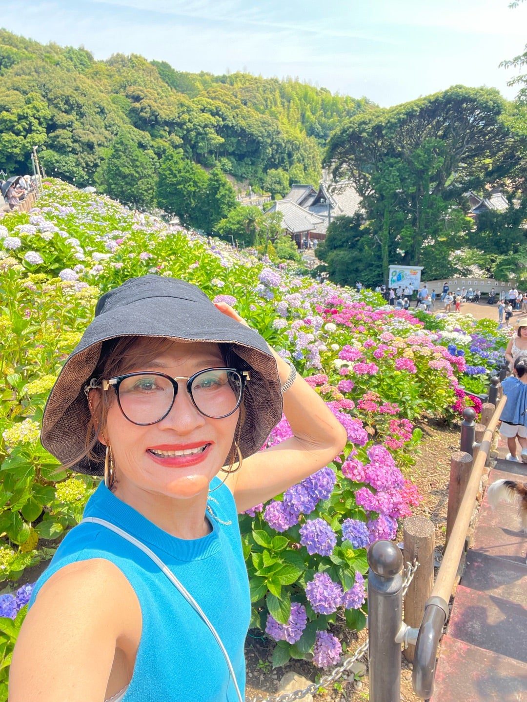 形原紫陽花祭りの紫陽花と梅雨の景色