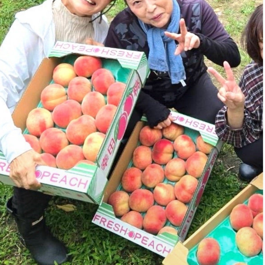 戦うBBAの桃狩り。平和な桃を前に本気になる大人の夏イベント 画像1